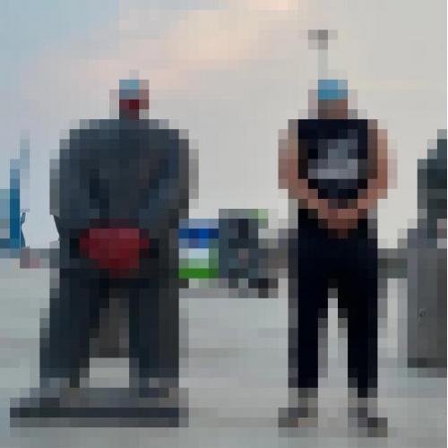 赠：加我免费咨询实时的海参数据及海参知识 | 供：各种品质的海参 | 需：海参直播电商